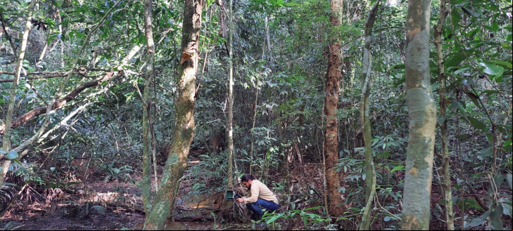 Biólogo de Criciúma compartilha filmagens de animais na mata do município/ Foto: Arquivo Pessoal de Vitor Bastos