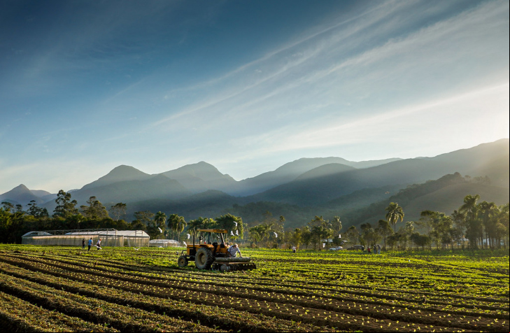 Foto: Ricardo Wolffenbüttel/ Secom