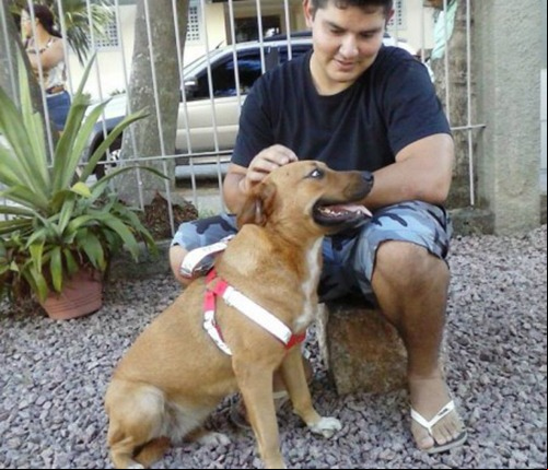 Foto: Arquivo/ONG Amigo Bicho