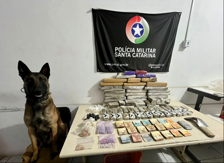 Foto: Divulgação/6°CRPM