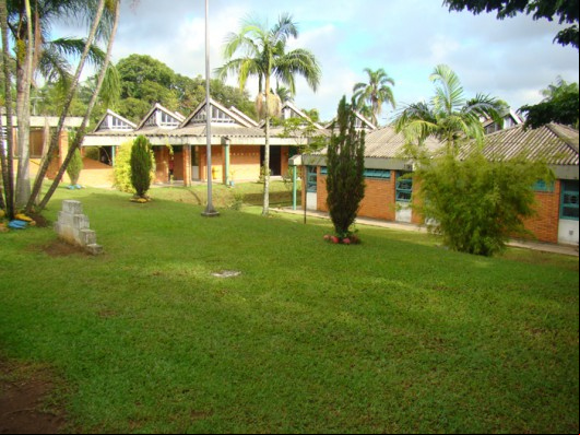 (foto: reprodução)