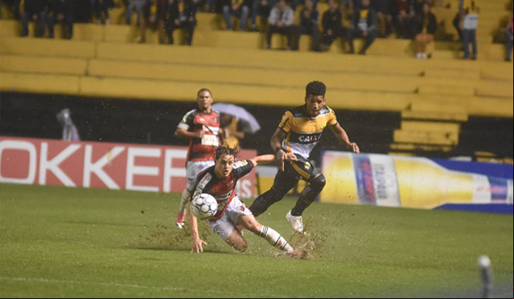 (foto: divulgação)