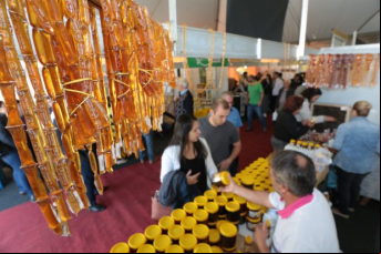 Notícia - [Áudio] Feira do Mel 2025 projeta venda recorde no país