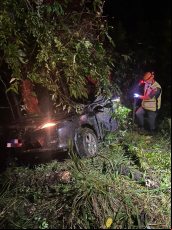 Notícia - Saída de pista deixa dois mortos em Orleans