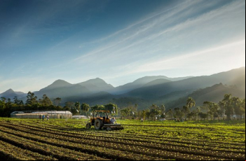 Notícia - Agro catarinense fecha 2024 com R$ 63,7 bilhões e exportações recordes