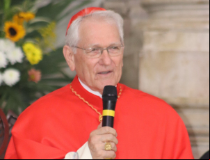 Notícia - [Áudio] Cardeal Dom Leonardo destaca singularidade do Papa Leão XIV 