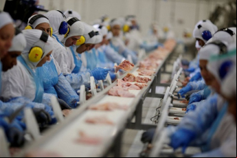 Notícia - [Áudio] Santa Catarina intensifica controle de frigoríficos após embargo da China