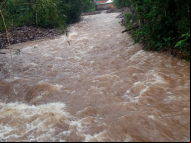 Foto: Divulgação/Prefeitura de Praia Grande 