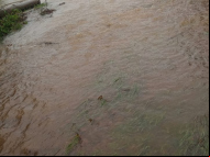 Foto: Divulgação/Prefeitura de Praia Grande 