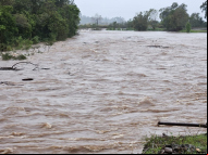 Foto: Divulgação/Prefeitura de Praia Grande 