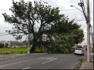 Foto: Emerson Teixeira