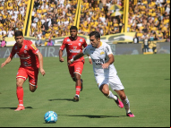 Foto: Celso da Luz / Criciúma EC